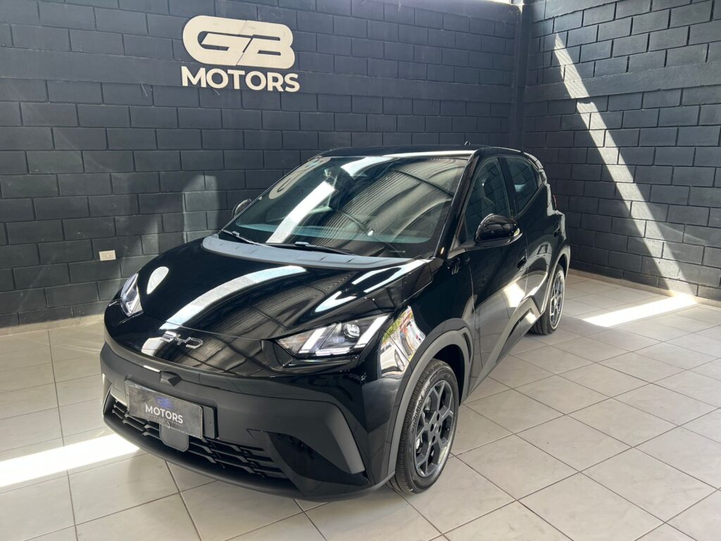 BYD DOLPHIN 0.0 2026 0KM