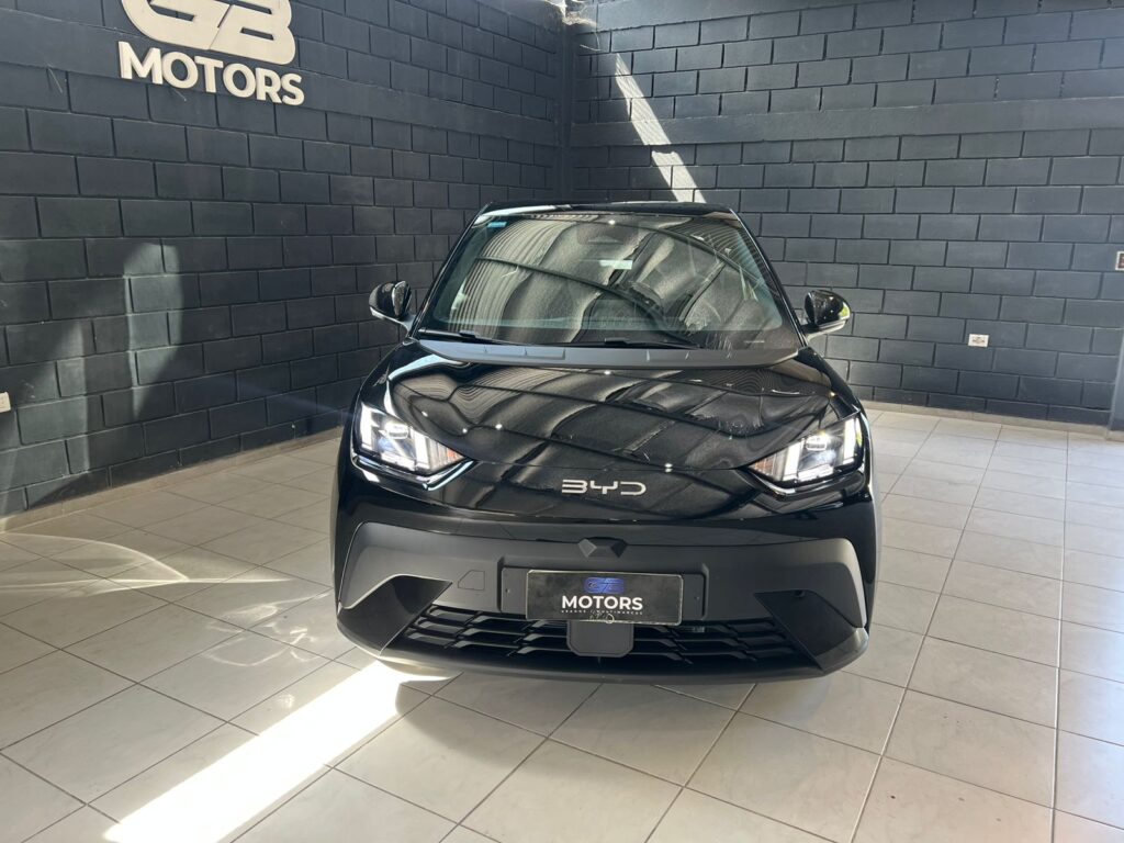 BYD DOLPHIN 0.0 2026 0KM